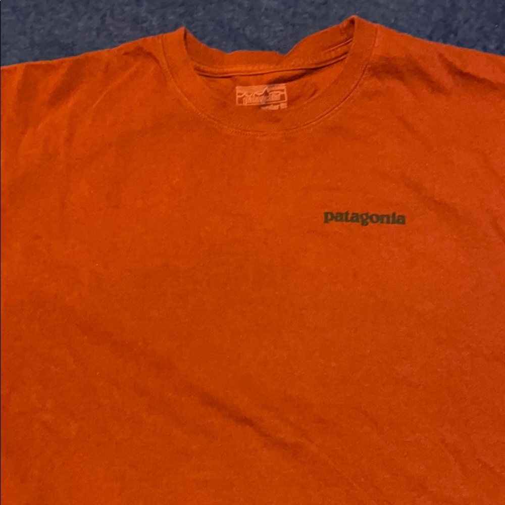 Patagonia Large tshirts. 100% cotton
